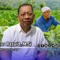 Foto. Kepala Dinas ketahanan pangan dan pertanian (DKPP) kabupaten Sumenep memakai seragam Warna putih (Istimewa for nusainsider.com/Redaksi) 