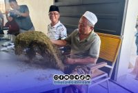 Foto. Bos H Mukmin saat melihat dan membeli Tembakau Milik Petani