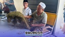Foto. Bos H Mukmin saat melihat dan membeli Tembakau Milik Petani