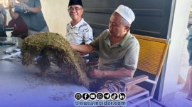 Foto. Bos H Mukmin saat melihat dan membeli Tembakau Milik Petani