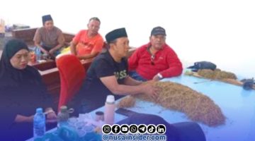 Haswal Group Resmi Buka Pembelian Tembakau 2026, Harga Tembus Rp70 Ribu per Kilogram