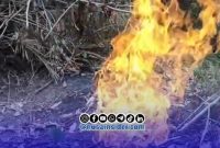 Foto. Semburan Gas didesa Tamidung kecamatan Batang-batang Sumenep Madura Jawa Timur