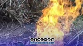 Foto. Semburan Gas didesa Tamidung kecamatan Batang-batang Sumenep Madura Jawa Timur