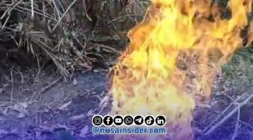 Foto. Semburan Gas didesa Tamidung kecamatan Batang-batang Sumenep Madura Jawa Timur