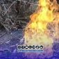 Foto. Semburan Gas didesa Tamidung kecamatan Batang-batang Sumenep Madura Jawa Timur