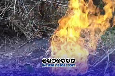Foto. Semburan Gas didesa Tamidung kecamatan Batang-batang Sumenep Madura Jawa Timur