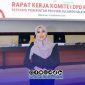 Foto. Anggota DPD RI, Dr Lia Istifhama, S.Sos., S.Sos.i.,M.E.I (Neng Lia) 